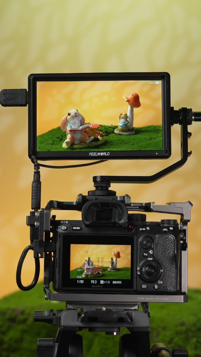 Amazon.com : FEELWORLD S55 6 inch Camera DSLR Field Monitor